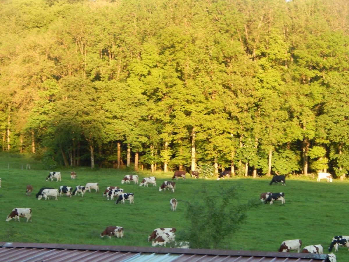 A La Source Du Saolon Bed and Breakfast Culmont Eksteriør billede